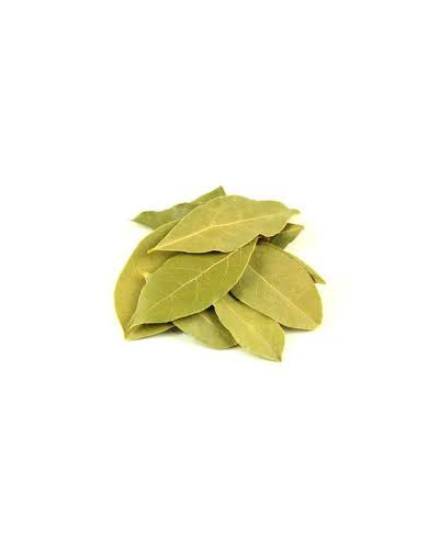 import and export spices